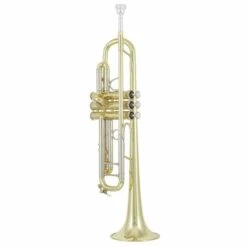 Bach 180-43 ML Trumpet 17 Bach 180-43 ML Trumpet -Musical Instruments Sales Store 10550908 800