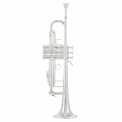 Gazebo Parts Direct Sales Store -Musical Instruments Sales Store 10551098 800 1
