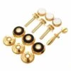 Bach Gold Trim Kit -Musical Instruments Sales Store 10714098 800