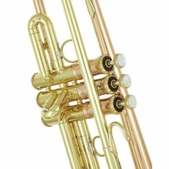 Bach LT190L1B Commercial Bb-Trumpet -Musical Instruments Sales Store 10957936 800