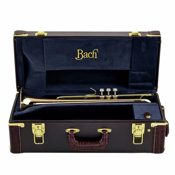 Bach LR 180-72G ML Bb-Trumpet 13 Bach LR 180-72G ML Bb-Trumpet - Image 11