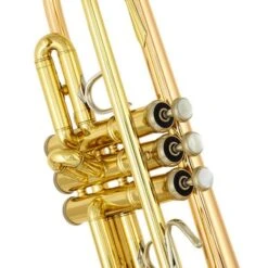 Bach LR 180-72G ML Bb-Trumpet 17 Bach LR 180-72G ML Bb-Trumpet -Musical Instruments Sales Store 11215244 800