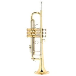 Bach ML19043 Bb- Trumpet Lacquered 14 Bach ML19043 Bb- Trumpet Lacquered -Musical Instruments Sales Store 12913838 800 1