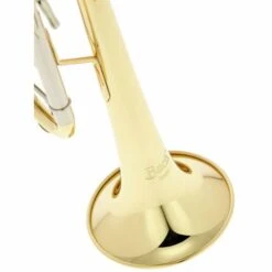 Bach TR-450 Bb- Trumpet 21 Bach TR-450 Bb- Trumpet -Musical Instruments Sales Store 13784941 800