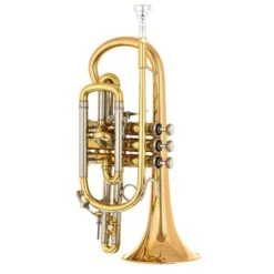 Bach 184 G Cornet 17 Bach 184 G Cornet -Musical Instruments Sales Store 16232176 800