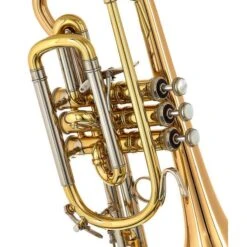 Bach 184 G Cornet 19 Bach 184 G Cornet -Musical Instruments Sales Store 16232181 800