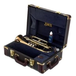 Bach 184 G Cornet 26 Bach 184 G Cornet -Musical Instruments Sales Store 16232216 800