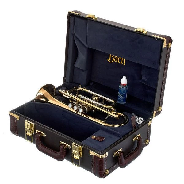 Bach 184 G Cornet 14 Bach 184 G Cornet - Image 12