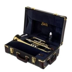 Bach 181 Cornet -Musical Instruments Sales Store 16232696 800