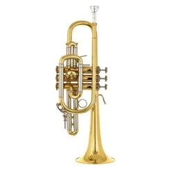 Bach 181 Cornet