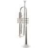 Bach TR-450S Bb- Trumpet 2 Bach TR-450S Bb- Trumpet -Musical Instruments Sales Store 17168459 800