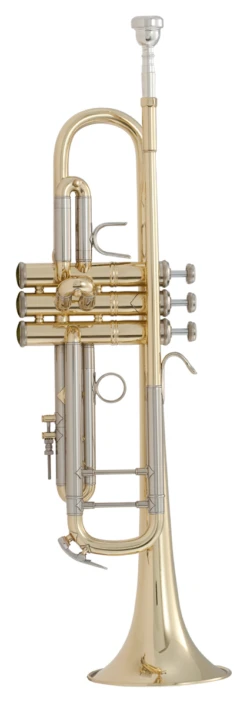 Bach Bb Professional Trumpet Model 18043
