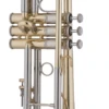 Bach Bb Professional Trumpet Model 19043 2 Bach Bb Professional Trumpet Model 19043 -Musical Instruments Sales Store 19043