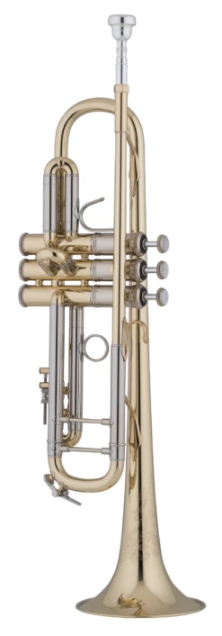 Bach Bb Professional Trumpet Model 19043