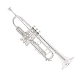 Bach Bb Professional Trumpet Model 190S37