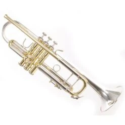 Gazebo Parts Direct Sales Store -Musical Instruments Sales Store 36120 800