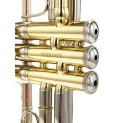 Bach TR-501 Student -Musical Instruments Sales Store 4789710 800