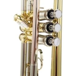 Bach TR-501 Student -Musical Instruments Sales Store 4789715 800