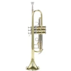 Bach TR-501 Student -Musical Instruments Sales Store 4789755 800