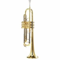 Bach 180-37 ML Trumpet 12 Bach 180-37 ML Trumpet -Musical Instruments Sales Store 6947438 800