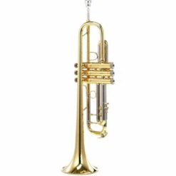 Gazebo Parts Direct Sales Store -Musical Instruments Sales Store 6947443 800