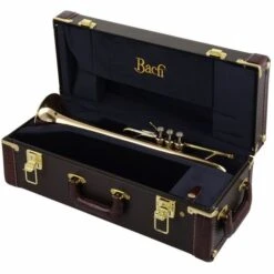 Bach C 180L-239G-25C C-Trumpet 25 Bach C 180L-239G-25C C-Trumpet -Musical Instruments Sales Store 8227014 800