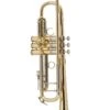 Bach Bb Professional Trumpet Model AB190