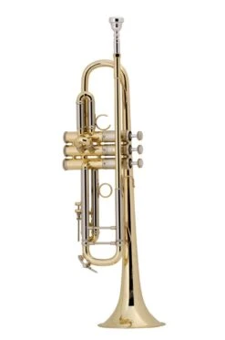 Bach Bb Professional Trumpet Model AB190