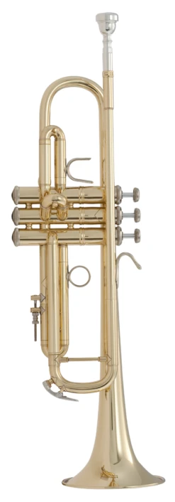 Bach Bb Professional Trumpet Model LR18037