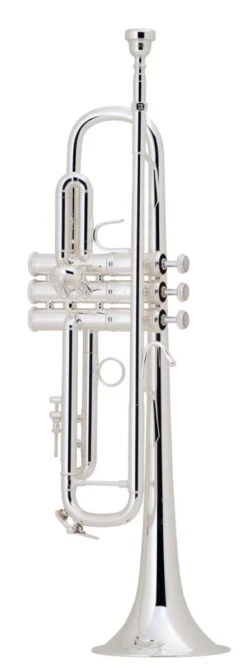 Bach Bb Professional Trumpet Model LR18043