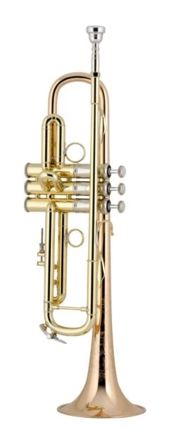 Bach Bb Professional Trumpet Model LR19043B
