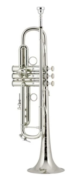 Bach Bb Professional Trumpet Model LR190S43B