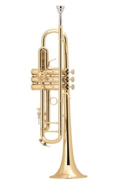 Bach Bb Professional Trumpet Model LT18037