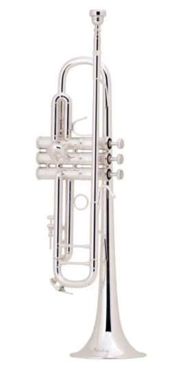 Bach Bb Professional Trumpet Model LT180S43