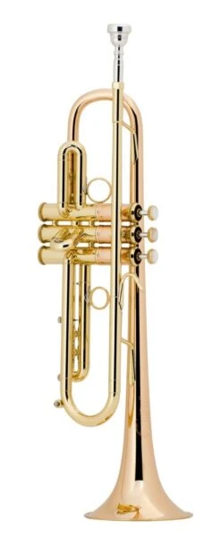 Bach Bb Professional Trumpet Model LT190L1B