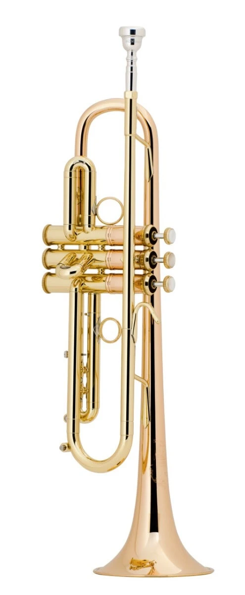Bach Bb Professional Trumpet Model LT190L1B 2 Bach Bb Professional Trumpet Model LT190L1B